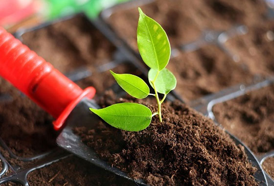 土壤環(huán)境修復(fù)